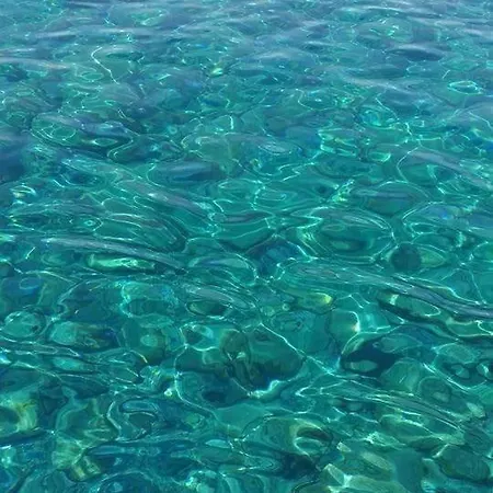 The Sea & Garden 2 *